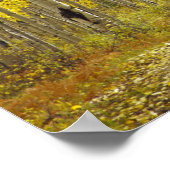 Weg met herfstkleuren en asbest in Kebler 2 Poster (Hoek)