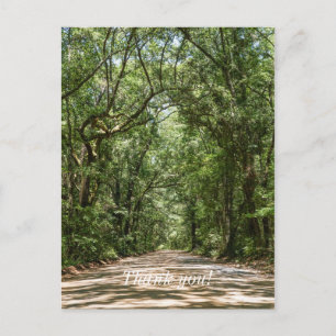Weg naar Angel Oak Dank U Briefkaart