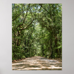 Weg naar Angel Oak Poster