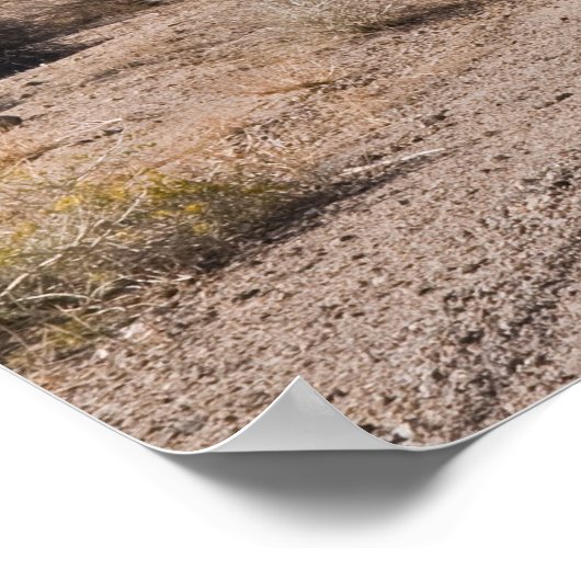 Weg naar de Sierras Poster (Hoek)