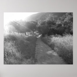 Weg naar licht Poster