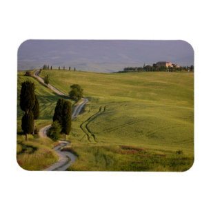 Weg naar Terrapille in Toscane magnet Magneet