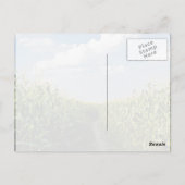 Weg tussen Corn-veld Briefkaart (Achterkant)