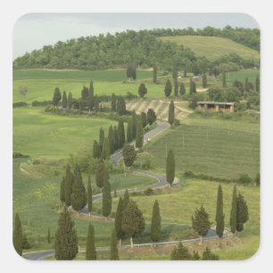 Weg van Pienza naar Montepulciano Vierkante Sticker