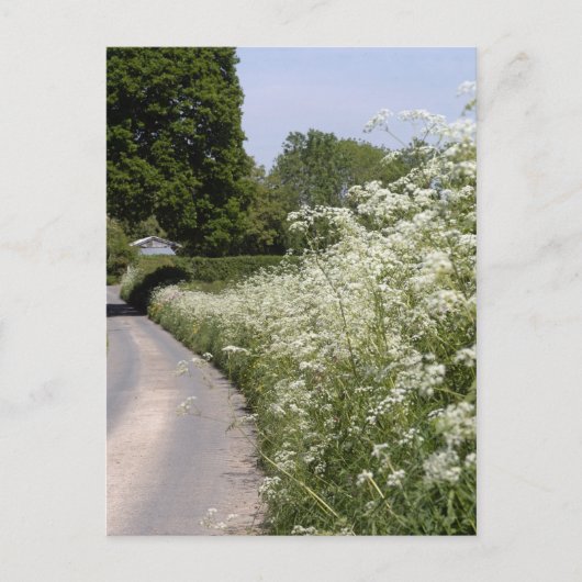 Wegbermhaag in Herefordshire Briefkaart (Voorkant)