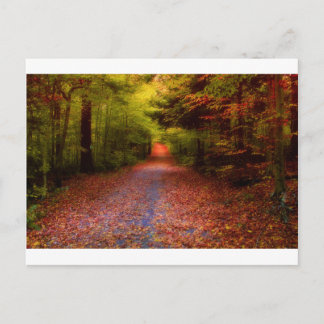 Wegen in Natuur Briefkaart