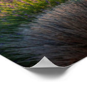 Wegen lavendel in Provence Poster (Hoek)