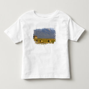 Wegwielrenners racen over landweg in kinder shirts