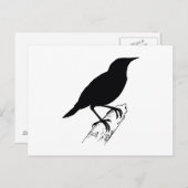 weide briefkaart (Voorkant / Achterkant)