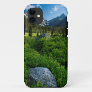 Weide en Mt. Stuart iPhone 11 Hoesje