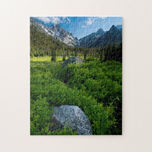 Weide en Mt. Stuart Legpuzzel (Verticaal)