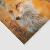 weide foetpapier tissuepapier (Detail)