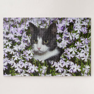 weide kattenpuzzel legpuzzel