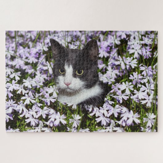 weide kattenpuzzel legpuzzel (Horizontaal)
