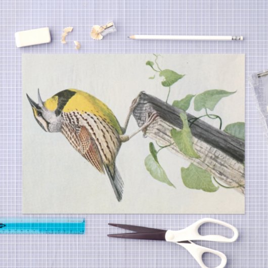 weide leeuwerik waterverf tissuepapier (Craft)