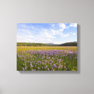 Weide van penstemon-wilde bloemen in de canvas afdruk