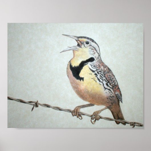 Weideleeuwerik Poster (Voorkant)