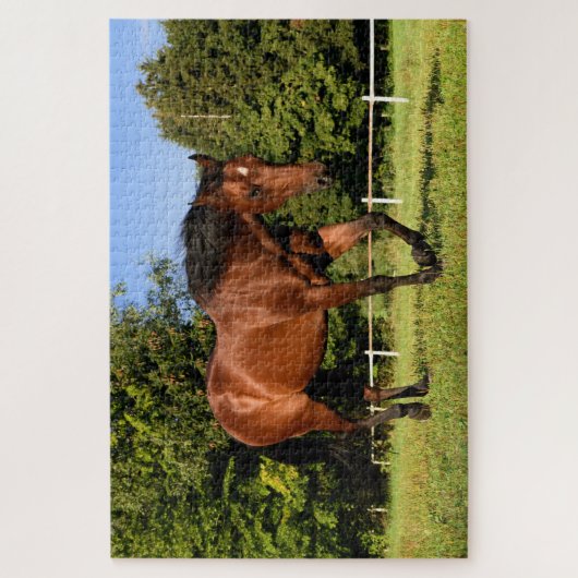 weidepuzzel legpuzzel (Verticaal)