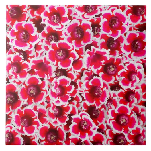 Weigela Florida Flowers Tegeltje (Voorkant)