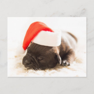 Weihnachtswelpe Feestdagenkaart