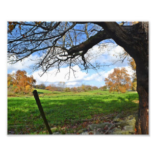 Weiland in de herfst foto afdruk