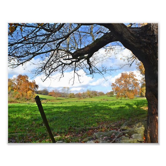 Weiland in de herfst foto afdruk (Voorkant)