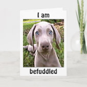 WEIMARANAR IS VERBAASD DAT JE "40" / FABULOUS BENT KAART (Voorkant)