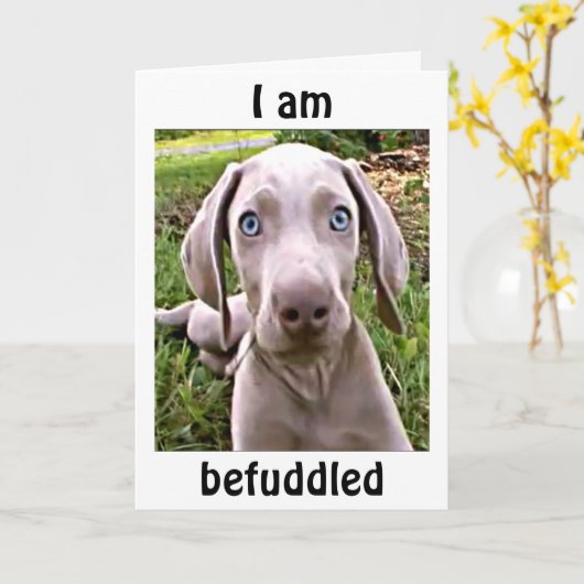 WEIMARANAR IS VERBAASD DAT JE "40" / FABULOUS BENT KAART (Gele Bloem)