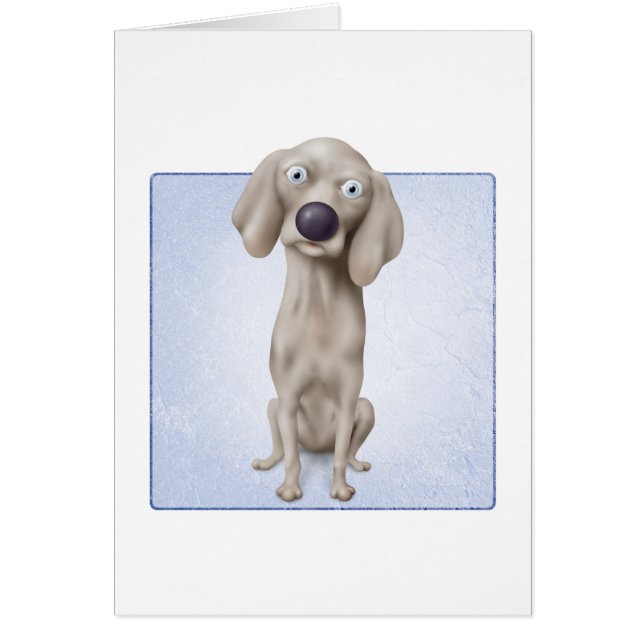 Weimaraner (Devant)