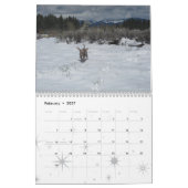 weimaraner 2012 kalender (Feb 2027)