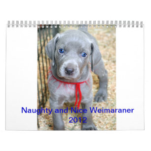 weimaraner 2012 kalender