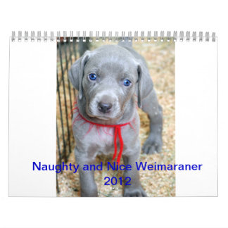 weimaraner 2012 kalender