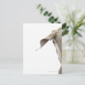 Weimaraner 2 briefkaart (Staand voorkant)
