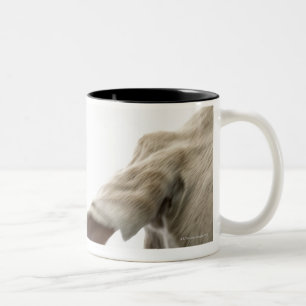 Weimaraner 2 tweekleurige koffiemok