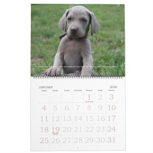 Weimaraner Agenda 1 Kalender (Jan 2026)