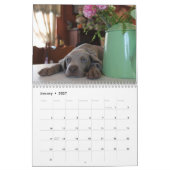 Weimaraner Agenda Kalender (Jan 2027)