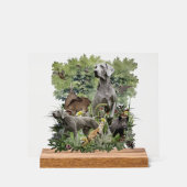 Weimaraner Art (Recto)