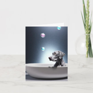 Weimaraner Avec Bulles Carte De Voeux