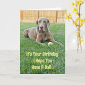 Weimaraner Birthday Card Kaart (Gele Bloem)