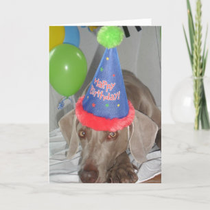 Weimaraner Birthday Greetings Card Kaart