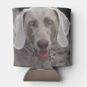 Weimaraner Blikjeskoeler (Achterkant)