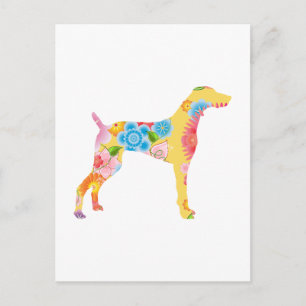 Weimaraner Briefkaart