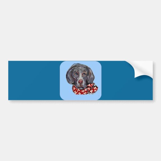 Weimaraner Bumpersticker (Voorkant)