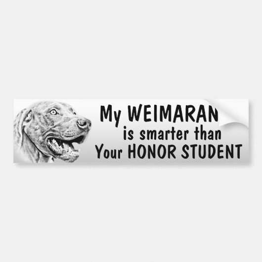 Weimaraner Bumpersticker (Voorkant)
