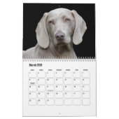 Weimaraner Calendar Kalender (Mar 2026)
