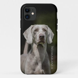 Weimaraner iPhone 11 Hoesje