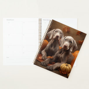 Weimaraner Chiot Automne Citrouille délice