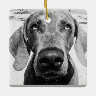 ***WEIMARANER** CHRISMAS ORNAMENT