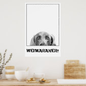 Weimaraner Dans Une Boîte Poster (Cuisine)