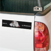 Weimaraner - De grijze gastheer Bumpersticker (Op Truck)